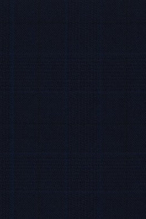 Dormeuil Navy Check 100% Wool